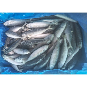 Poisson scad rond entier, <span class=keywords><strong>maquereau</strong></span>, poisson queue jaune, scad rond congelé, petits yeux - Product Image 6