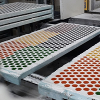 Petite machine automatique de fabrication de bonbons gélifiés, de bonbons à l'amidon, de bonbons en forme d'ours en gélatine, machine à déposer de l'amidon de bonbons