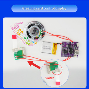 Costom programlanabilir 4M USB kaydedilebilir ışık sensörü müzik ses modülü için ses çipi DIY ses tebrik kartı ve Diy hediye - Product Image 5