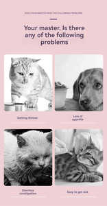 Extracto de plantas naturales que mejoran la inmunidad del sistema urinario de las mascotas Suplemento DE SALUD Reparación de membranas mucosas dañadas - Product Image 6