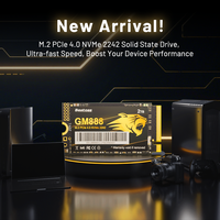 قرص صلب داخلي عالي الأداء من بيستوس M.2 NVMe 2242 PCIe Gen4.0 SSD بسعة 1 تيرابايت/2 تيرابايت للكمبيوتر المكتبي