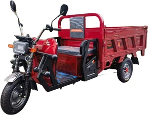 Venta Caliente de Triciclos Eléctricos Baratos de 3 Ruedas, Motocicleta de Tres Ruedas para Adultos - Product Image 2