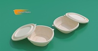 Premium Moderne 450ml 140x140x53mm 148x148x48mm Vierkante Bakje met Deksel Robuust Eetbaar Verpakking Lekvrij Eenhoudig Verbruiksartikel