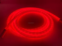 Bande lumineuse LED flexible en néon, RGB adressable tressé, 360 degrés, WS2812B, 5V USB, ronde, souple