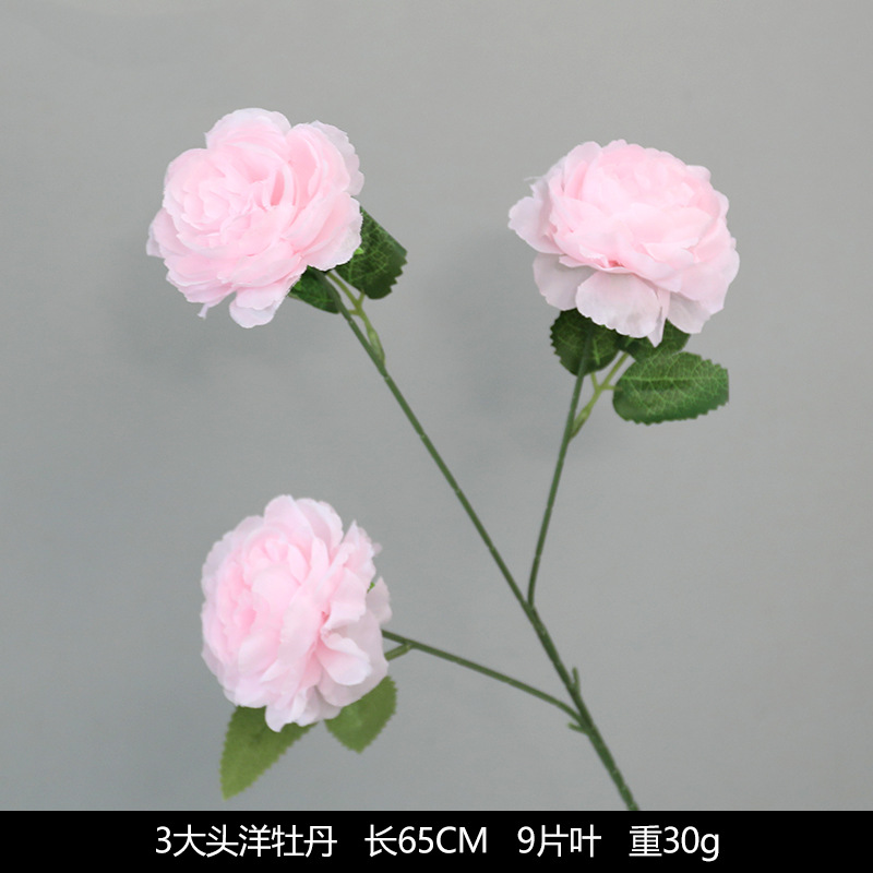 3 large-headed peonies