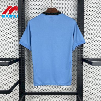 Netherlands 2526 Light Blue