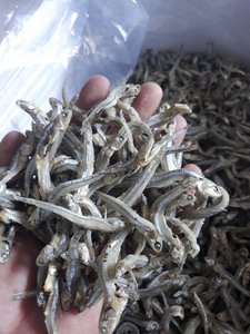 Grossisti di pesce secco di acciuga salata essiccata colore naturale (giallo grigio brunastro)-frutti di mare (at)<span class=keywords><strong>linda</strong></span>(dot) com-w/S: 0084 9989 322 607 - Product Image 3