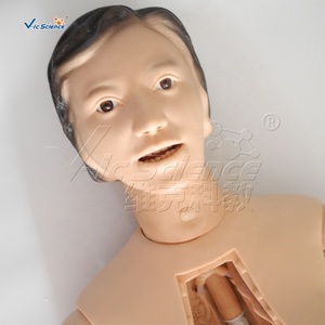 Muñeca de entrenamiento de enfermera de alta calidad (femenina) Simuladores de maniquíes para entrenamiento médico maniquí médico - Product Image 2