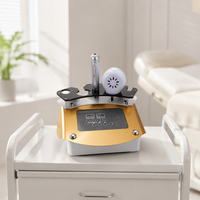 Appareil de beauté facial pour salon, mésothérapie sans aiguille, refroidissement, lifting du visage, resserrement de la peau, machine de beauté OEM