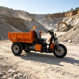 ผลิตในจีน มินิ 1.5 3000w รถสามล้อดั๊มพ์เปอร์ - Product Image 2