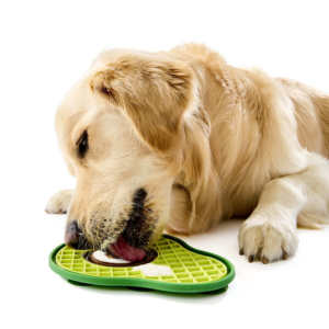 KIND Vaisselle de voyage fantaisie pour animaux de compagnie, en silicone, fabriquée au Vietnam, de qualité alimentaire, imperméable, durable, écologique, lavable au lave-vaisselle, au design original et mignon - Product Image 4