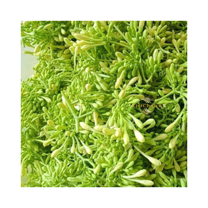 Fleur de papaye mâle séchée écologique, ingrédient à base de plantes traditionnel - Product Image 4