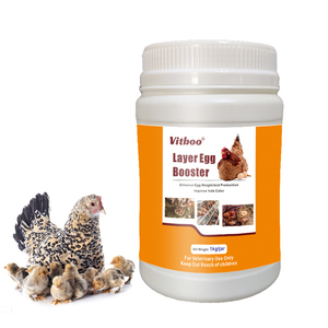Améliorez la production d'œufs et le taux <span class=keywords><strong>de</strong></span> fécondation : Additifs alimentaires pour poulets, améliorateur <span class=keywords><strong>de</strong></span> ponte, poudre stimulante pour la ponte, alimentation mixte pour poulets. - Product Image 1