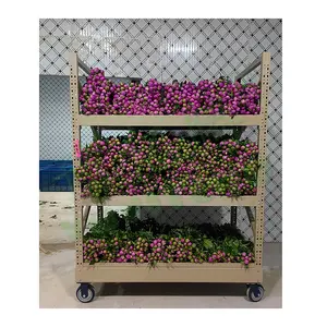 Sıcak satış bahçecilik katlanır çiçek sepeti sera taşıma 3 katmanlı çiçek saksı arabaları