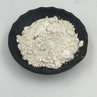Poudre de Psyllium en vrac de qualité alimentaire