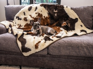 Lit imperméable pour animaux de compagnie, couverture chaude et lavable pour chien et <span class=keywords><strong>chat</strong></span>, tapis de couchage en peluche avec logo personnalisé de qualité supérieure - Product Image 6