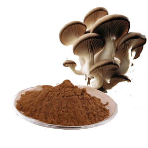 Экстракт бета-глюкана плеврута остреата, Экстракт устричных грибов - Product Image 1