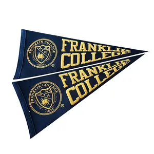 Drapeaux d'écolier stylo triangulaire personnalisé, drapeau triangulaire - Product Image 1