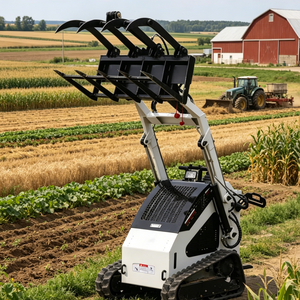 For Skid Steer Mini Ce&epa Approved Tracked with Imported <b>Engines</b> Pump <b>Stand</b>-on for Sale - Product Image 2