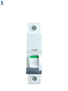 Disjoncteur de circuit de contrôleur PLC, neuf et original, 2PC63A - Product Image 1