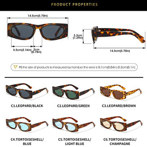 Lunettes de soleil carrées vintage à petite monture avec logo personnalisé 2026, protection UV400, imprimé léopard, pour hommes et femmes - Product Image 6