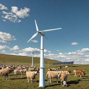 Sistema de Energía Híbrido Eficiente de 3KW 5KW 10KW 20KW, Energía Solar y Eólica Fuera de la Red para Uso Doméstico - Product Image 1