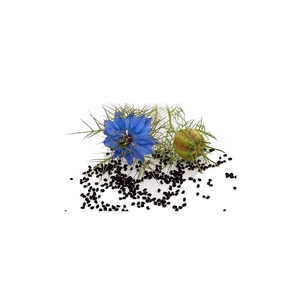Fornitura di fabbrica <span class=keywords><strong>Nigella</strong></span> Sativa estratto di semi neri in polvere estratto di cumino nero - Product Image 6