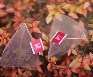 Popular PLA Corn Fiber Empty Biodegradable Pyramid Tea <b>Bag</b> With <b>String</b> and Tag - Product Image 5