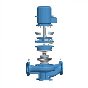 Pompes centrifuges verticales et horizontales à une seule étape pour systèmes d'irrigation agricole/d'alimentation en eau - Product Image 6