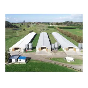 Pré-fabricada aço estrutura avícola fazenda negócio pré-fabricada estrutura fazenda plano para venda