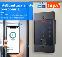 Sistema de Control de Acceso Oculto Tuya IP66 Impermeable DC12V con Teclado Táctil de Aleación de Zinc, Huella Dactilar Biométrica y Lector de Tarjetas de 125kHz