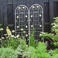 Support de fleurs de jardin thermolaqué avec cadre métallique à double arche, arche de treillis écologique, support pour tongs