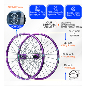 Roue de vélo VTT <span class=keywords><strong>26</strong></span> 27.5 29 pouces, axe traversant Boost 110 148, AM DH, 6 trous, frein à disque, 4 roulements étanches, HG XD MS, alliage 7005, 12 vitesses - Product Image 1