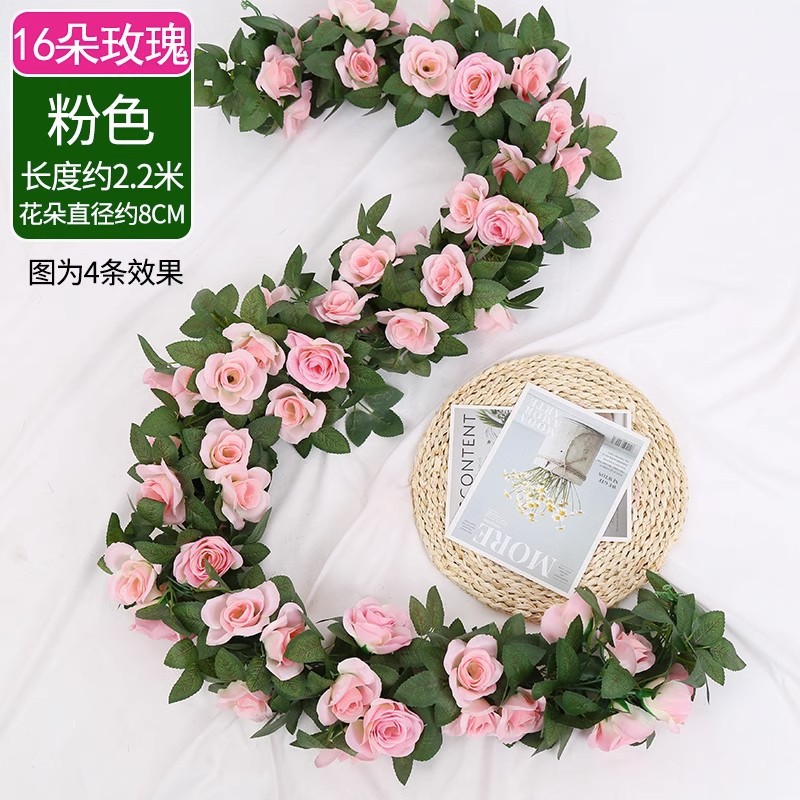 16 rose rosa 1