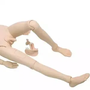 Chất Lượng Tốt Nhất Y Tá Đào Tạo Búp Bê Nam Và Nữ Y Tế Khoa Học Giáo Dục Nhựa Con Người Sinh Học Giảng Dạy Giải Phẫu Mô Hình - Product Image 3