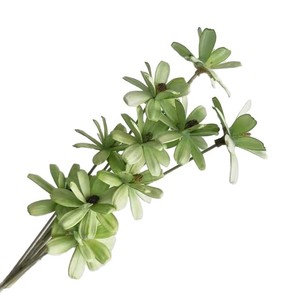 Ramo de flores secas, 10 paquetes, decoración del hogar hecha a mano, regalo para pareja - Product Image 1
