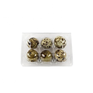 Disposable clear transparent 6 cells holes plastic quail egg packaging tray box crate