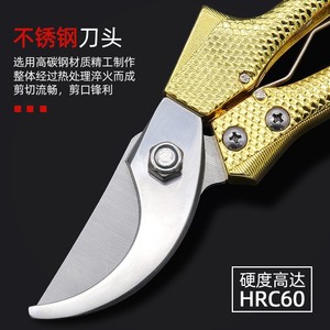 Bonitas tijeras de podar de acero inoxidable con forma de pico de 53 mm, mango antideslizante dorado para cortar ramas gruesas en el jardín. - Product Image 3
