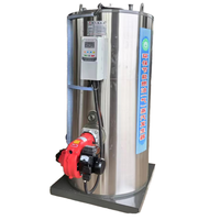 Chaudière à vapeur automatique de haute qualité de 200kg pour la fabrication de tofu industriel Conception de tubes de feu horizontaux avec vente à basse pression
