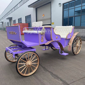 Carruaje Turístico Real de Estilo Vintage con Caballos, Colores Personalizables, 4 Ruedas, Asientos para 4-6 Personas, Nuevo - Product Image 3