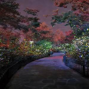 Lumière laser rotative pour effets d'éclairage d'arbres et spectacles de Noël en plein air - Product Image 1