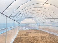 Goedkope commerciële enkelspannings-landbouwkas met verzinkt stalen frame