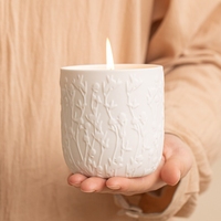 Witoyou Premium 10oz Witte Keramische Pot met Kleurrijke Sojawas Geurkaarsen Luxe en Gepersonaliseerde Etiketten met Bolvormig Logo
