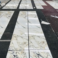 Marbre Calacatta Viola naturel PerfectStone avec veines jaunes pour la décoration intérieure haut de gamme