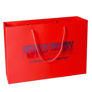 Bolsas Exquisitas con Logotipo Personalizado, Bolsos de Mano para Mujer, Bolsa de Papel Negra para Regalo - Product Image 6