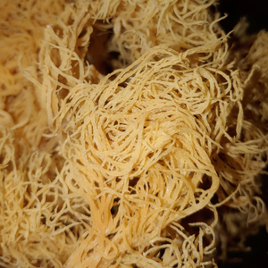 Musgo Irlandés Seco Premium 100% Natural, Espárragos Secos Sin Sal para Consumo Alimentario - Product Image 1