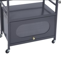Carrito Rodante de 2 Niveles de Acero Inoxidable Moderno y Elegante con Superficie de Piedra, Multifuncional para Armario, Sala de Estar y Comida