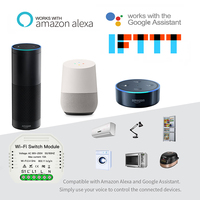 Module d'interrupteur intelligent Wifi à distance 1 gang 2 voies, commande vocale, 10a 2.4Ghz