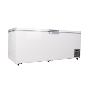 Congélateur rapide en spirale pour fruits de mer, <span class=keywords><strong>petit</strong></span> équipement de congélation en acier inoxydable, congélateur à souffle pour thon - Product Image 4