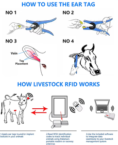 Etichette per <span class=keywords><strong>Animali</strong></span>, Targhette Auricolari Personalizzate FDX-B HDX Impermeabili, Chip per Bestiame 0.01, Targhetta Intelligente per Bovini, 5 Anni, per Fattorie, 1-10m - Product Image 5